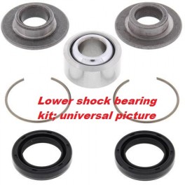 RM lower rear shock bearing
