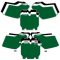 1994-1995 KX125 KX250