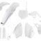 Plastic kit YZ125 YZ250 1996-1997 FULL
