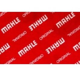 Mahle zuigers 250cc membraam 81-82