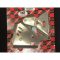 Works alu framebeschermers CR250 1992-1996