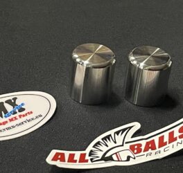 Kolbensatz vordere bremszange div YZ modelle